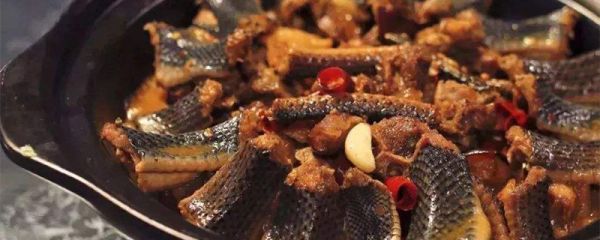 蛇肉能吃吗 蛇肉能不能吃