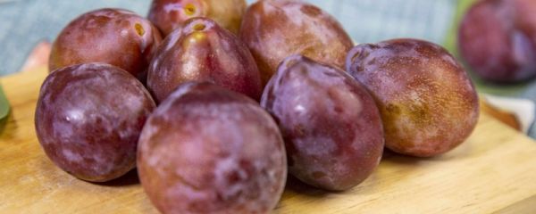 西梅保存方法是常温还是冷藏 西梅怎么保存