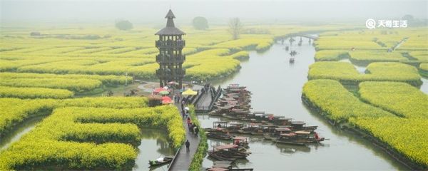 泰州在哪里 泰州在哪里在哪个省份