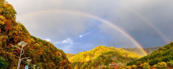 彩虹的颜色是哪七种 彩虹的颜色是哪七种颜色 彩虹的颜色是哪七种顺序