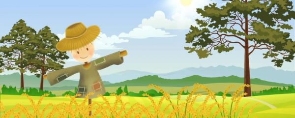 小暑节气的天气特点 小暑节气做哪些农事活动