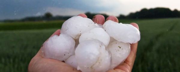 风雹形成原因 风雹形成原因是什么