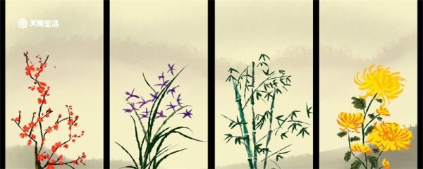 为什么中国人把梅兰竹菊称作四君子 为什么梅兰竹菊被称为四君子