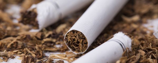 烟头中心温度可达多少度  烟头中心温度达到了多少度