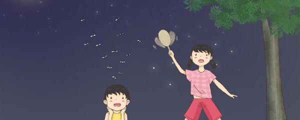 驱蚊液的原理  灭蚊液原理