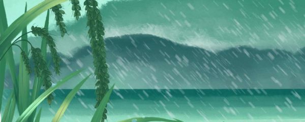芒种当天会下雨吗 芒种下雨是好是坏