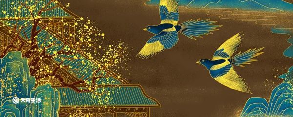 喜鹊真的能报喜吗 喜鹊真的可以报喜吗