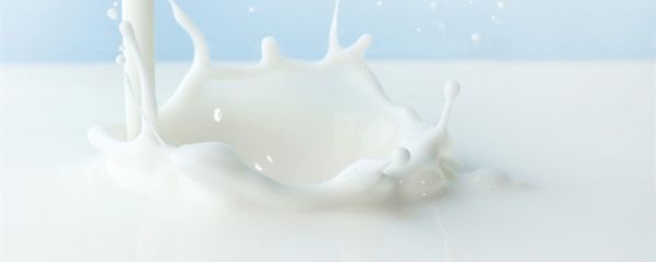 鲜牛乳是什么 鲜牛乳是什么味道