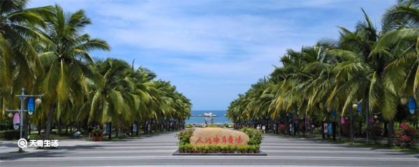 天涯海角在哪个省 天涯海角在哪