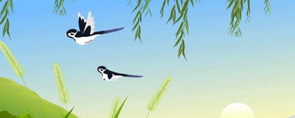 春分节气送春牛图的含义 怎么送春牛图