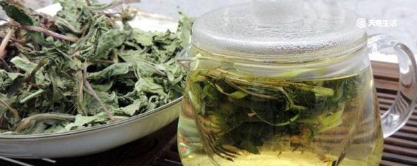 蒲公英茶哪些人不宜喝 不适合喝蒲公英茶的人群