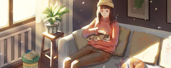 发财树的养殖方法和注意事项 发财树的养殖方法