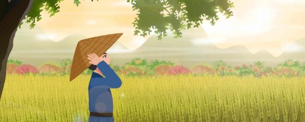 芒种下一个节气是什么 芒种节气有什么民俗活动