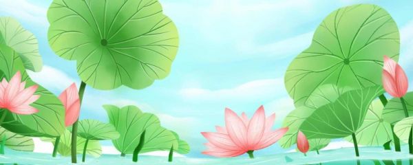 立夏阴天有什么说法 立夏过后气候怎么样