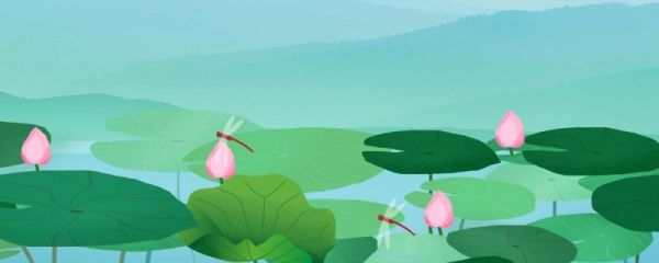 今年夏至日是几月几日几点 夏至名字的由来