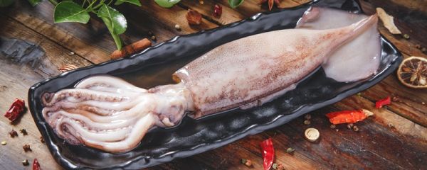 鱿鱼属于鱼类吗 鱿鱼属不属于鱼类