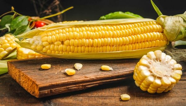 玉米和柿子可以一起吃吗 玉米和柿子可不可以一起吃