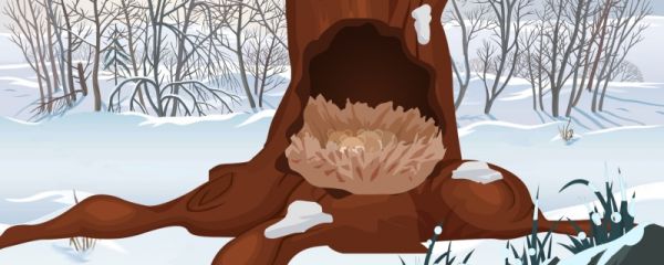 哪种动物在寒冷季节会冬眠 12.25蚂蚁庄园答案