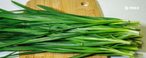 韭菜花能不能冷冻 韭菜花能冷冻吗