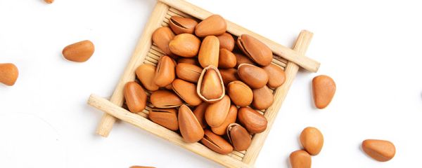 松子是怎么开口的 松子如何开口