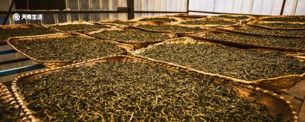 茶叶怎么制作过程 茶叶如何制作方法
