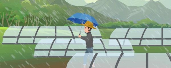 芒种下雨有什么说法 芒种下雨好还是不下雨好