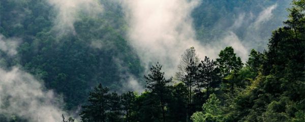 大别山属于哪个省哪个市 大别山属于哪个省哪个市哪县