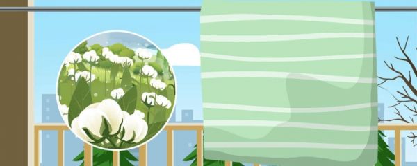 10年的棉花被还值得翻新吗 棉被翻新会暖和吗