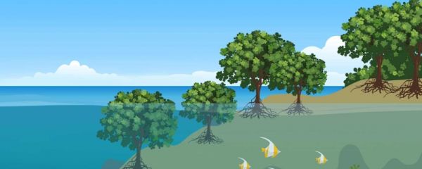 生物多样性日是几月几日 生物多样性日发展历程