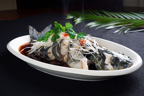 鲈鱼的功效与作用 鲈鱼的功效与作用是什么