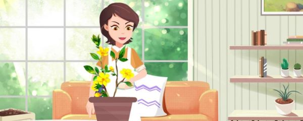 三八妇女节是法定节假日吗 放假吗