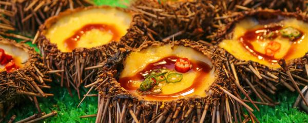 海胆怎么吃法 新鲜海胆怎么吃法