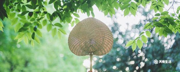 暑假为什么这么热 暑假热的原因
