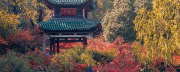 湖南省会是哪个城市 长沙市的自然资源有哪些