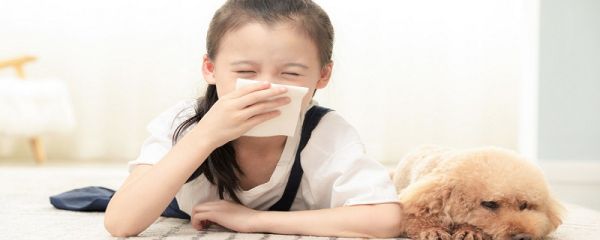 大型犬类有哪些 大型犬类