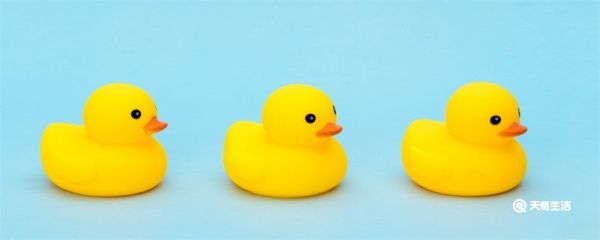 抓鸭子是什么梗 抓鸭子什么梗