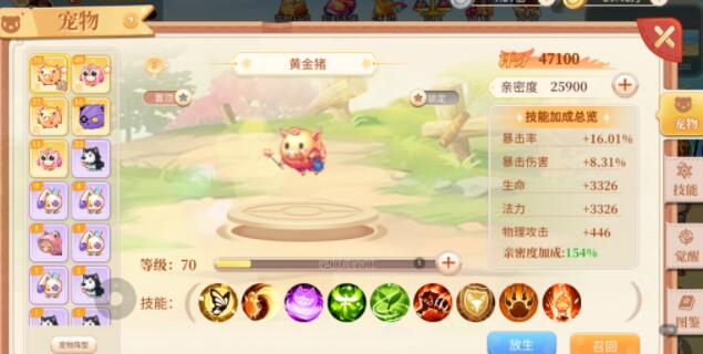 永恒岛之彩虹世界最强宠物培养攻略