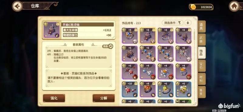 宝石研物语伊恩之石饰品搭配攻略