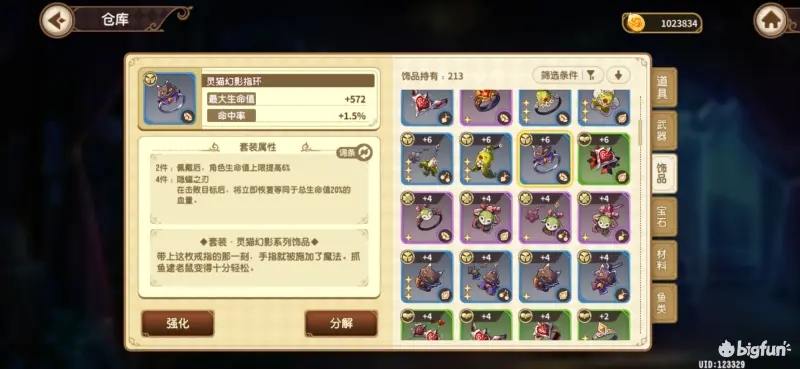 宝石研物语伊恩之石饰品搭配攻略