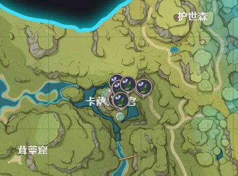 原神帕蒂沙兰哪里多