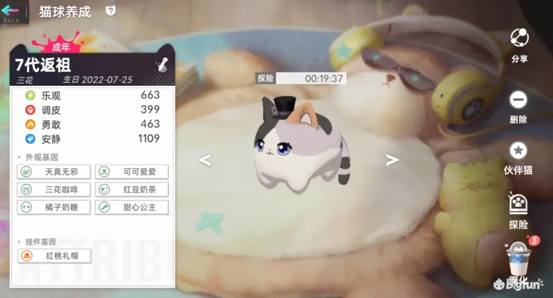 猫之城猫球系统起名规律分享