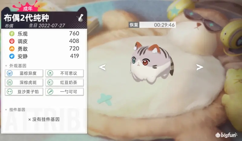 猫之城纯血交配心得技巧分享