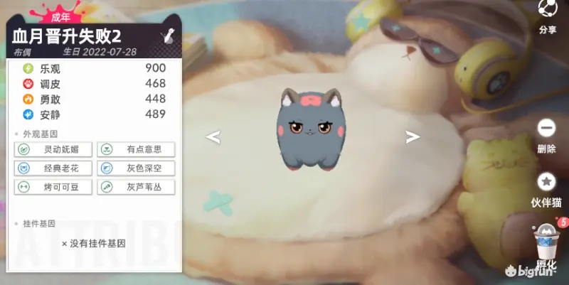 猫之城纯血交配心得技巧分享