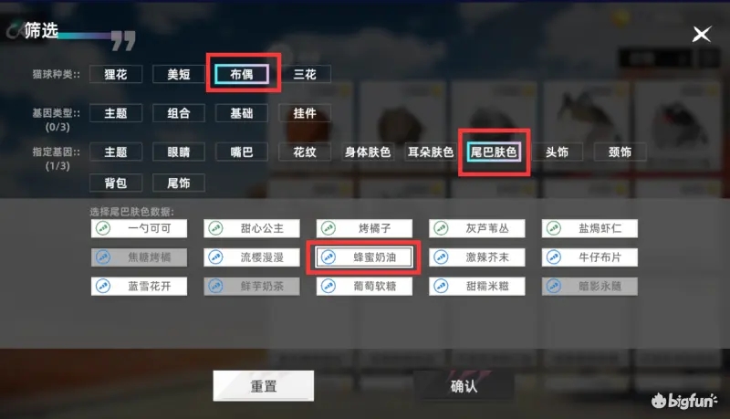 猫之城碰瓷猫培育攻略