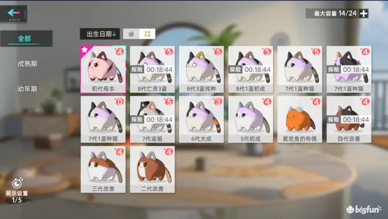猫之城碰瓷猫培育攻略