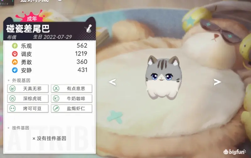 猫之城碰瓷猫培育攻略