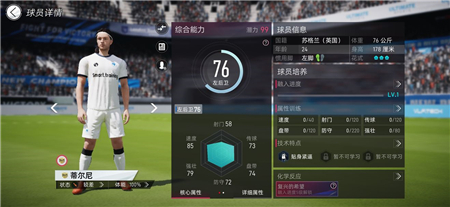 绿茵信仰蒂尔尼用法指南