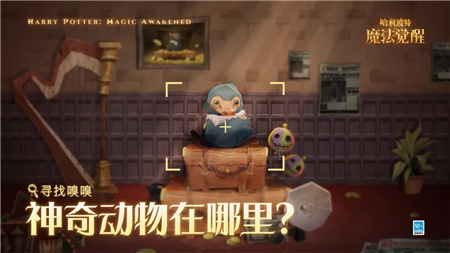 哈利波特魔法觉醒寻找嗅嗅全部位置一览