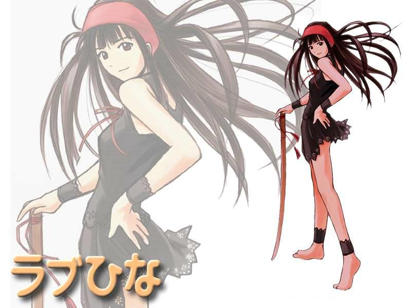 纯情房东俏房客gba游戏攻略选项效果一览