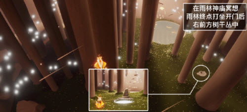 光遇2.23每日任务攻略2022